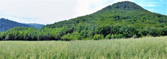 Almurrain