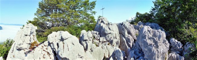 Tontorra