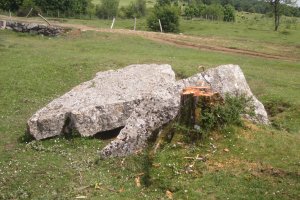 Menhir Akarte con el arbol talado (06-2019)