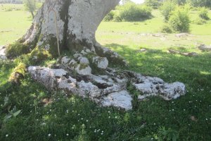 Monolito Legaire Oeste 6  (06-2019)