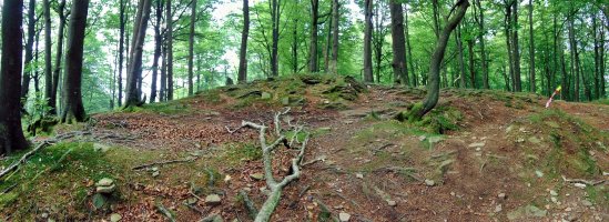 Tontorra