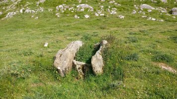 Ausokoi trikuharria 3