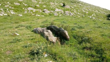 Ausokoi trikuharria 2