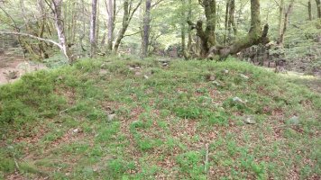 Artaso trikuharria 2