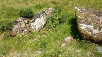 Artxilondo trikuharria (2019)