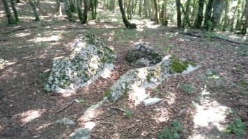 Angaitza trikuharria 2