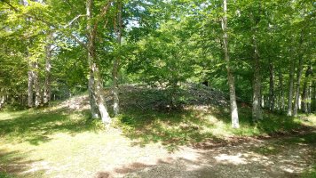 Erbilerri trikuharria 2