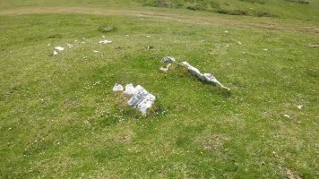 Lerritz trikuharria 2