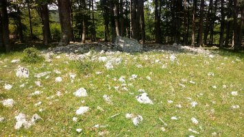 Irutzulo Txikita trikuharria 2