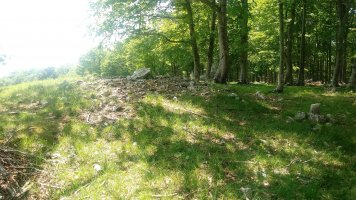 Irutzulo Txikita trikuharria (2019)