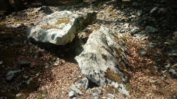 Soiltxiki trikuharria 2