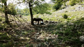 Amabirjiñaren iturria