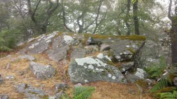Burdingogi (1247m) tontorra