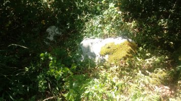 Aseki trikuharria (2019)