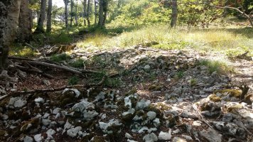 Bakedanoko Portuzargaina II Hegoa (2019)