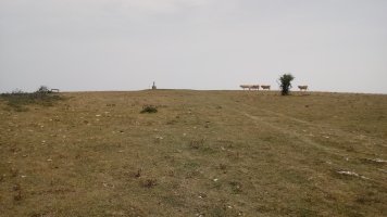 Larregoiko (1019m) gainaldea