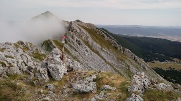 Arbelaitz (1506m) tontorra