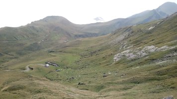 Bizkartze saroia