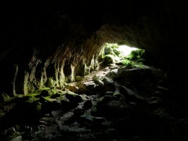 Mauletxe koba, Abaurregaina