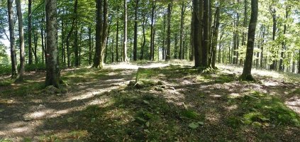 Igartzako gailurra