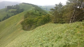 Urdesparri (1006m) eta Salteburua arteko lepoa