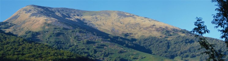 Auza