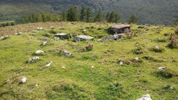 Argarbi trikuharria 3