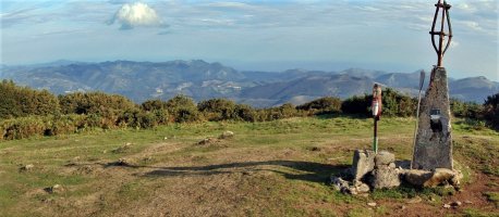 Tontorra