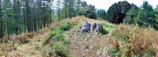 Tontorra