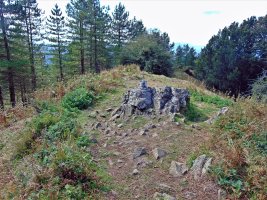 Tontorra