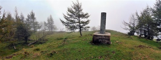 Tontorra