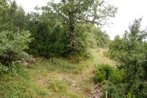 Beiegu tontorra