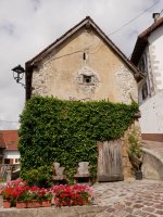 Domentx garaia, Aribe