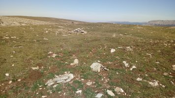 Artxurieta (1228) tontorra