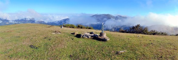Tontorra