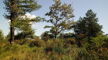 Motto (887m) tontorra