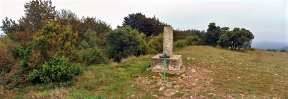 Tontorra
