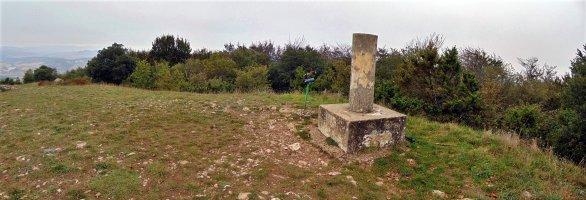 Tontorra