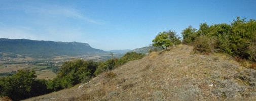 Arritxiki gaina