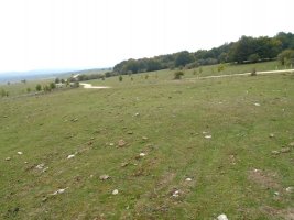 CAMINO DE ARRATONDO
