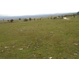 CAMINO DE ARRATONDO