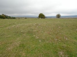 CAMINO DE ARRATONDO