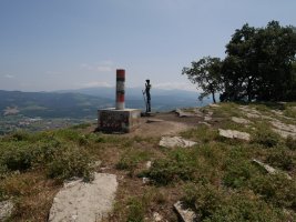 Tontorra