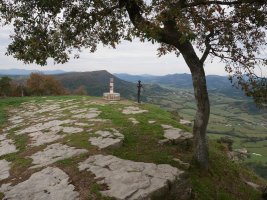Tontorra