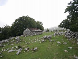 Lexardi