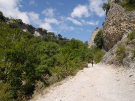 Irantzuko arroila