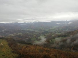 Orhi, tontorretik