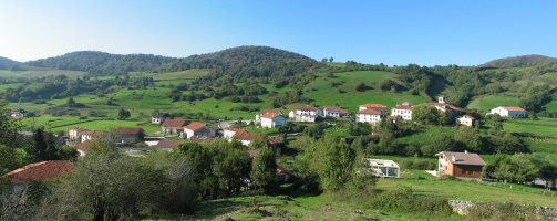 Uitzi