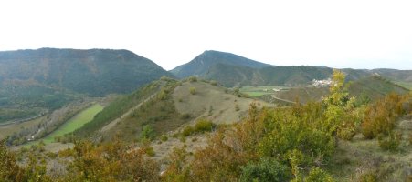 Azpurgiko harroila