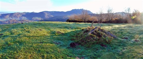 Tontorra